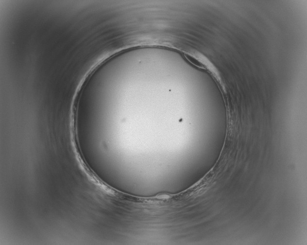 X0000073491096200608140836