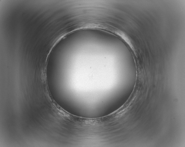 X0000073491097200608140836