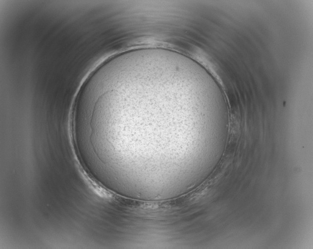 X0000073491098200608140836