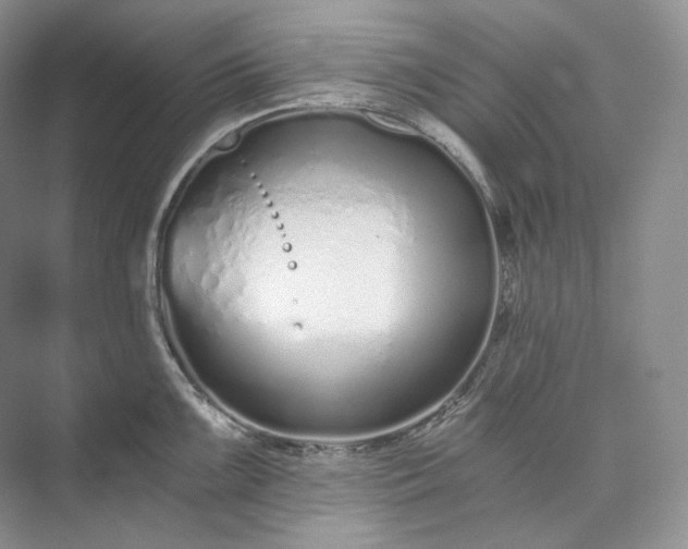 X0000073491099200608140836