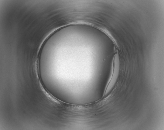 X0000073491100200608140836