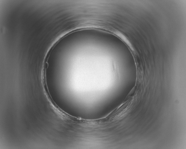 X0000073491101200608140836