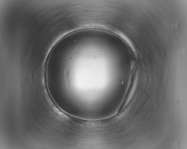 X0000073491102200608140835