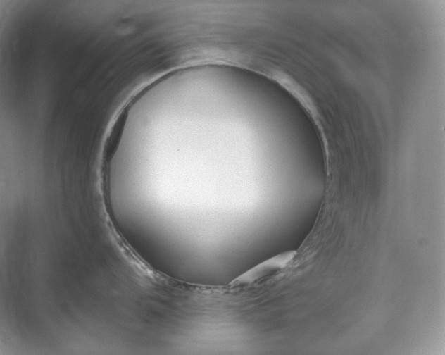 X0000073491104200608140835