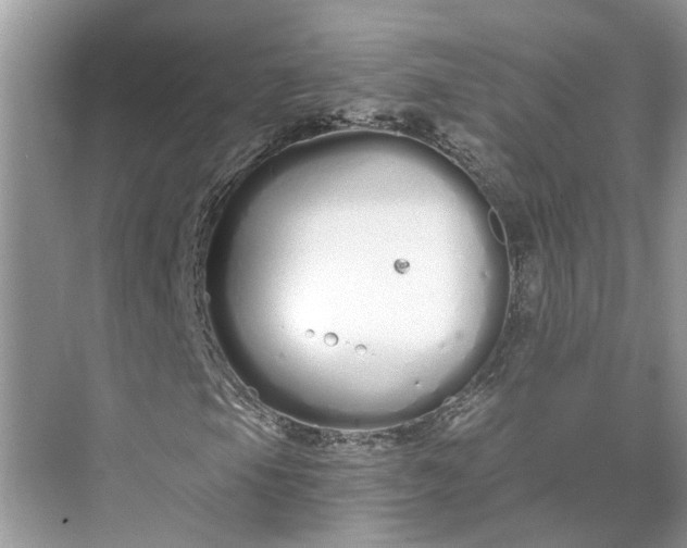 X0000073491105200608140835