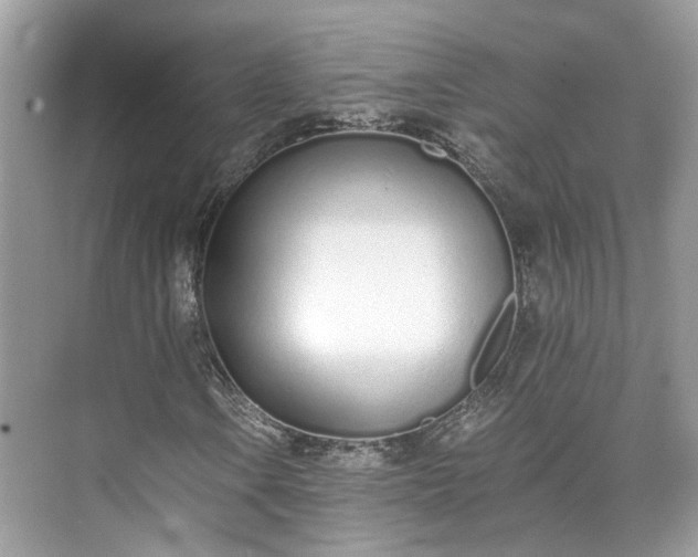 X0000073491106200608140835