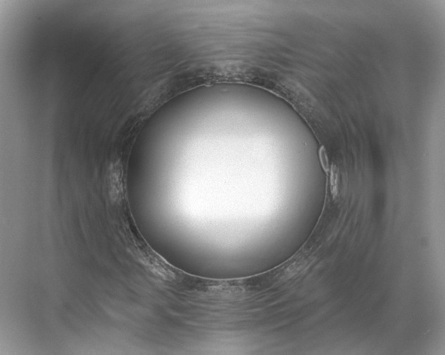 X0000073491107200608140835