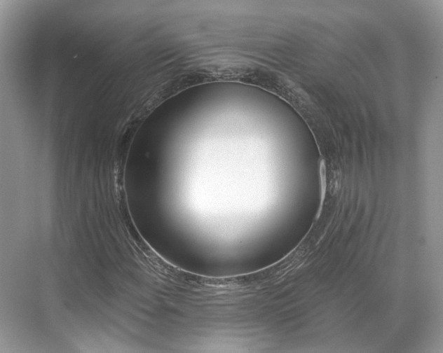 X0000073491108200608140835