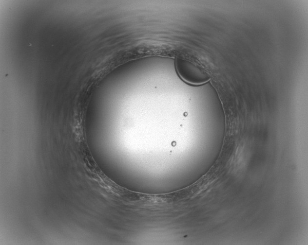 X0000073491109200608140835