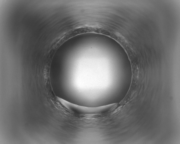 X0000073491110200608140835