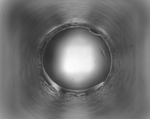 X0000073491112200608140835