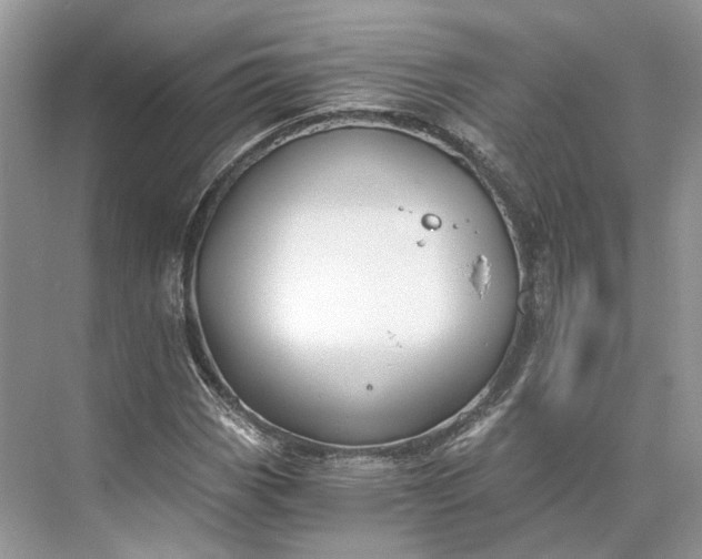 X0000073491113200608140835