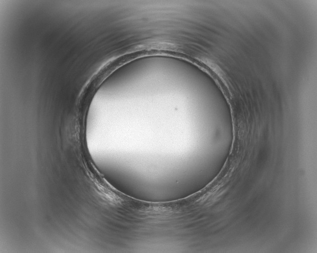 X0000073491115200608140835