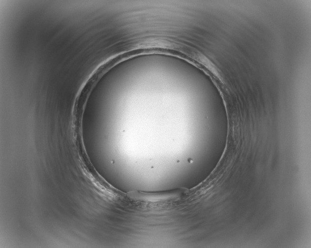 X0000073491116200608140835