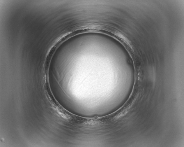 X0000073491117200608140835