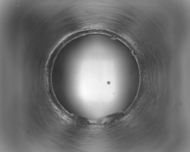 X0000073491118200608140835