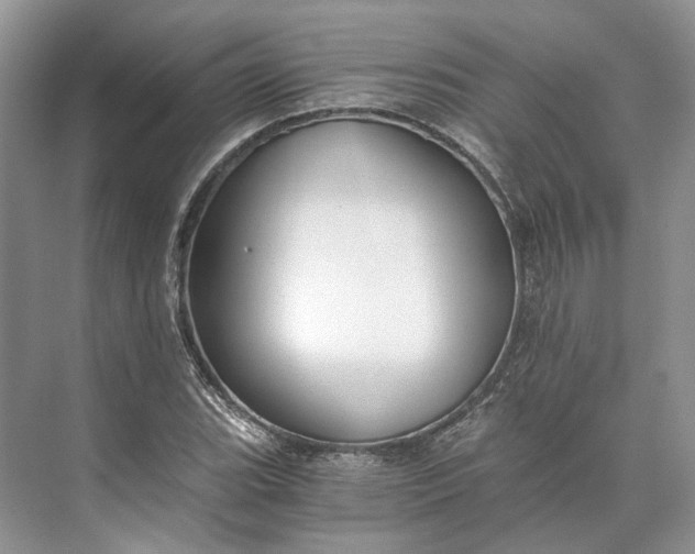 X0000073491119200608140835