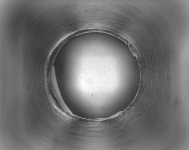 X0000073491120200608140835