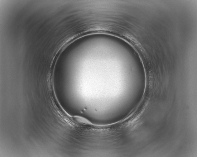 X0000073491121200608140835