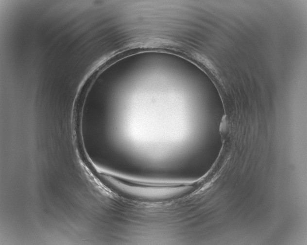 X0000073491122200608140835