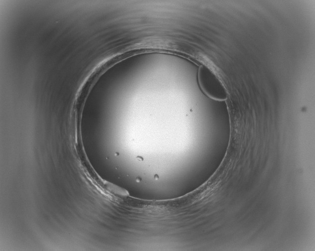 X0000073491123200608140835