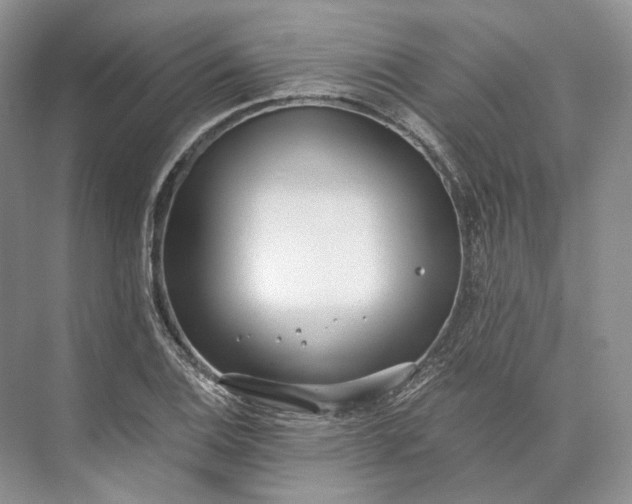 X0000073491124200608140835