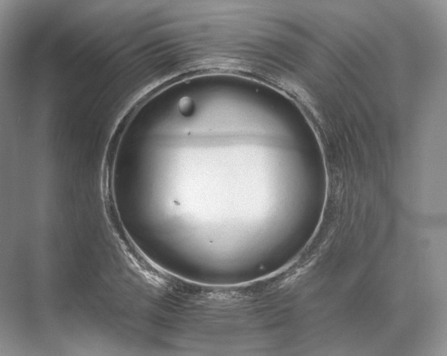 X0000073491125200608140835