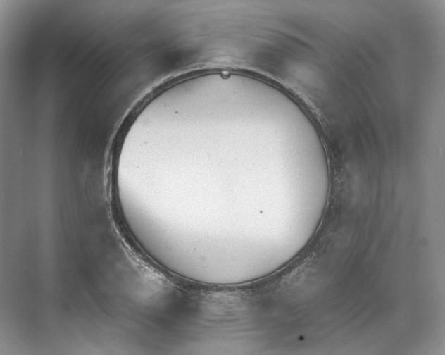 X0000073491126200608140835