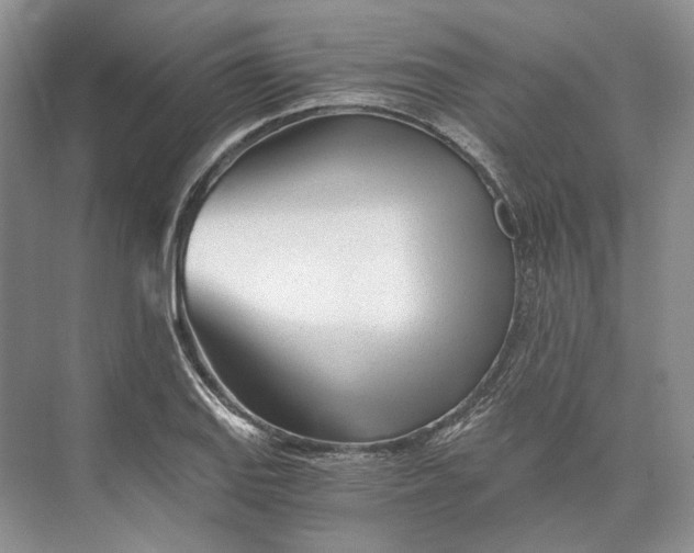 X0000073491127200608140835