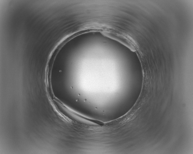 X0000073491128200608140835