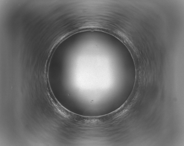 X0000073491129200608140835