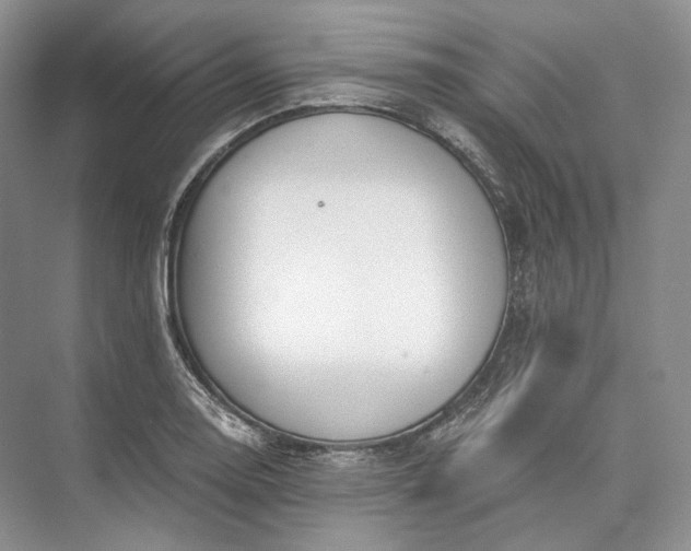 X0000073491130200608140835