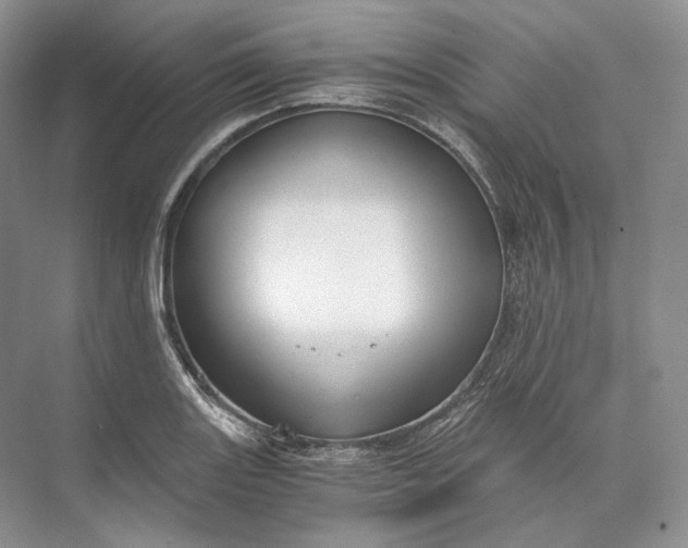 X0000073491131200608140835