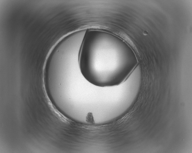 X0000073491132200608140835