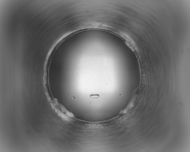 X0000073491136200608140835