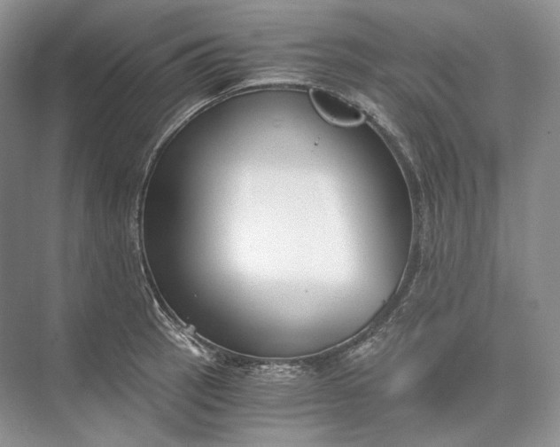 X0000073491137200608140835