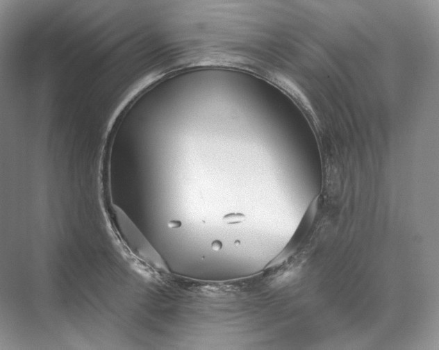 X0000073491138200608140835