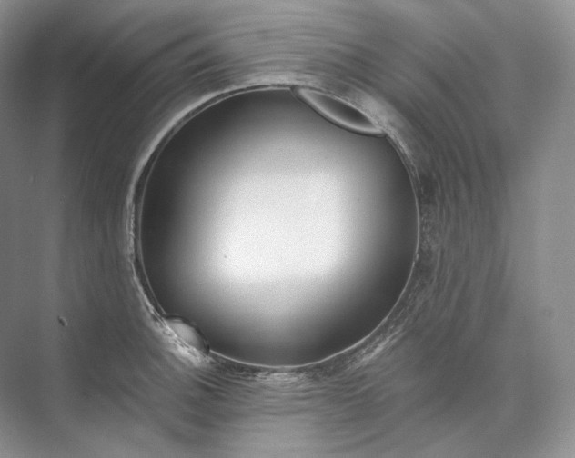 X0000073491140200608140835