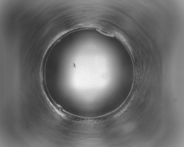 X0000073491141200608140835