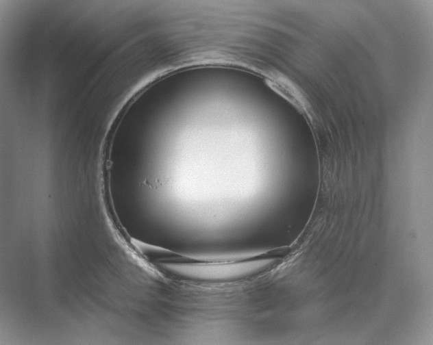 X0000073491142200608140835