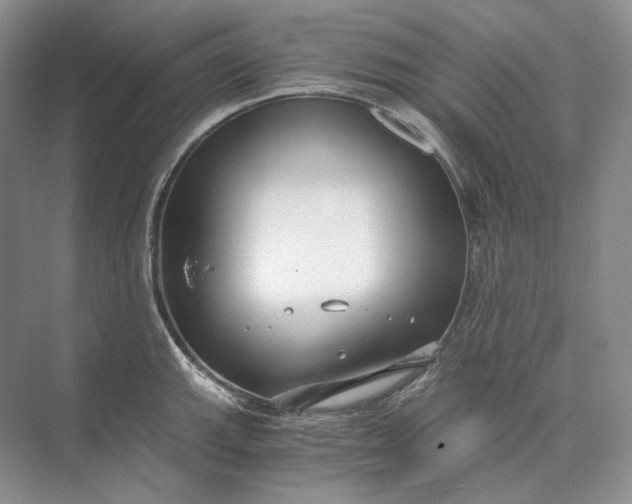 X0000073491143200608140835