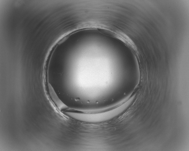 X0000073491144200608140835