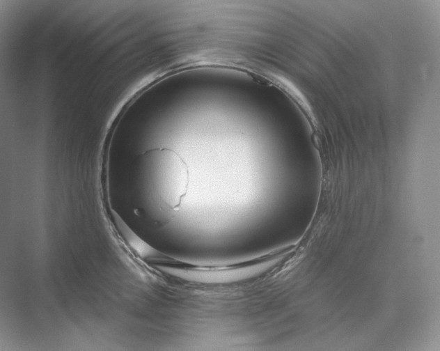 X0000073491146200608140835