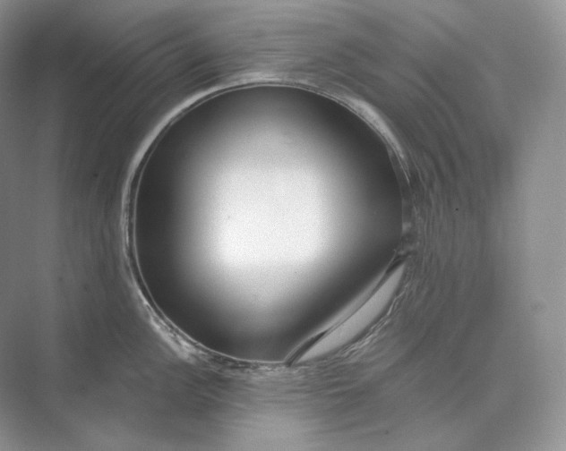 X0000073491148200608140835