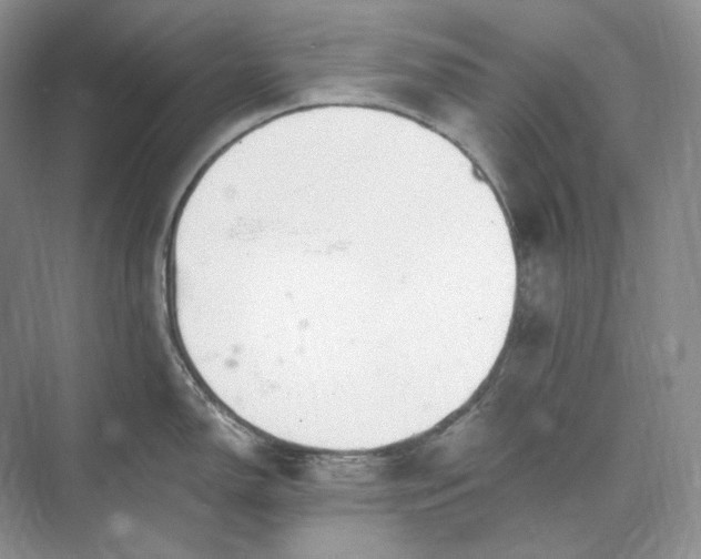 X0000073491150200608140835