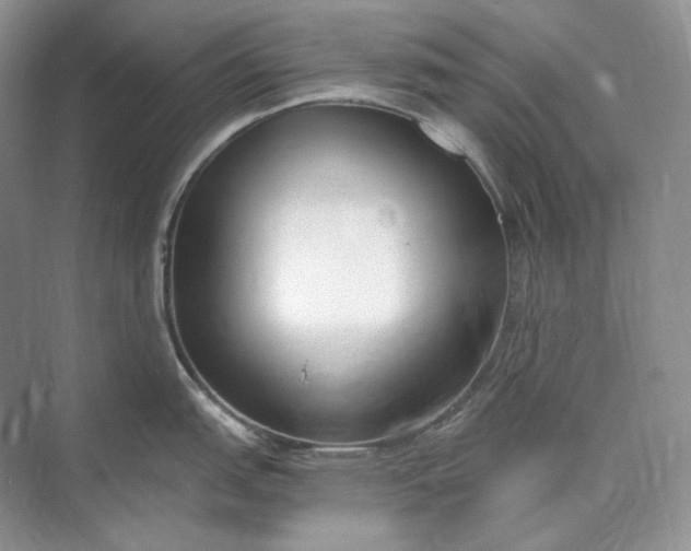 X0000073491151200608140835