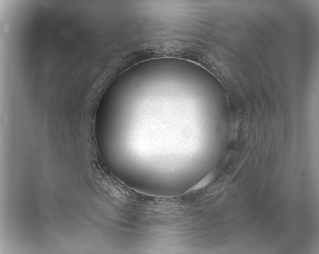 X0000073491153200608140835