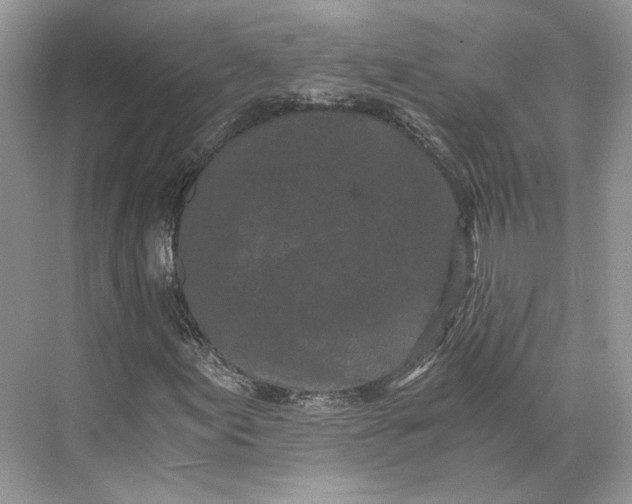 X0000073491155200608140835