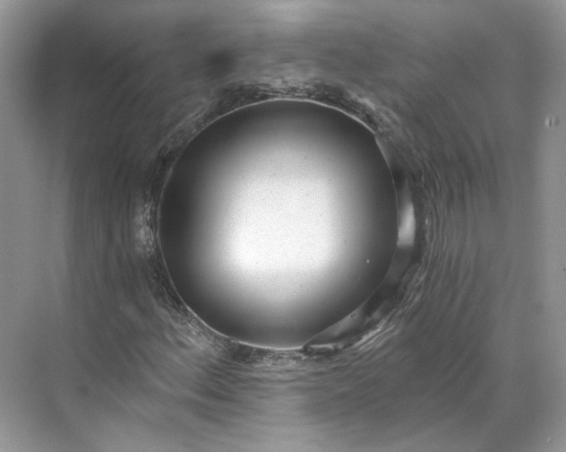 X0000073491156200608140835