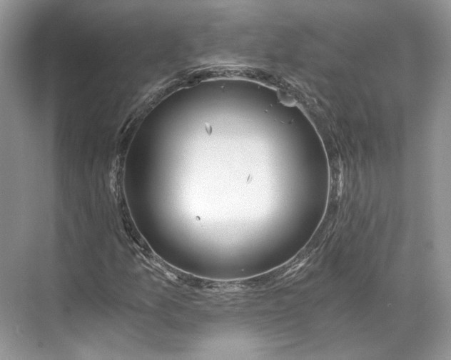 X0000073491157200608140835